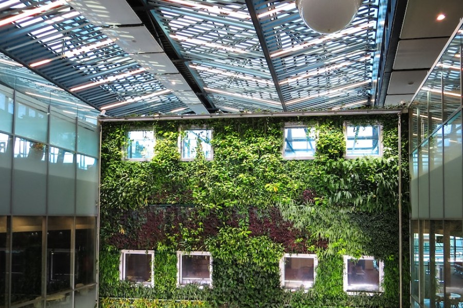 Pflanzen die an einer Wand hängen in einem Gebäude